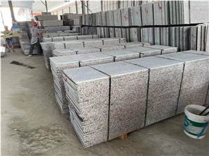 Granite Thick Slabs