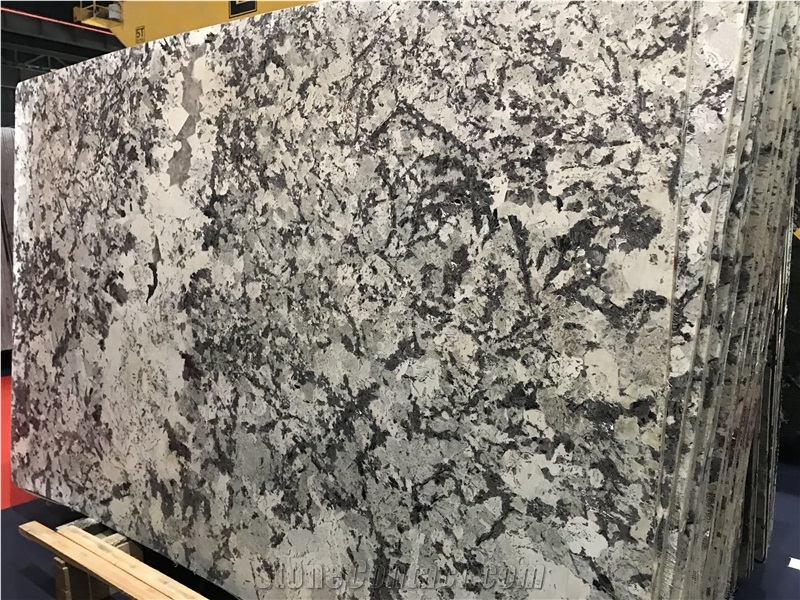 Brazil Everest White Granite Slab Tile