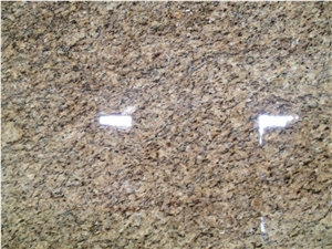 Brazil New Giallo Ornamental Yellow Granite Slab Tile Brazil New Giallo Ornamental Yellow Granite Slab Tile