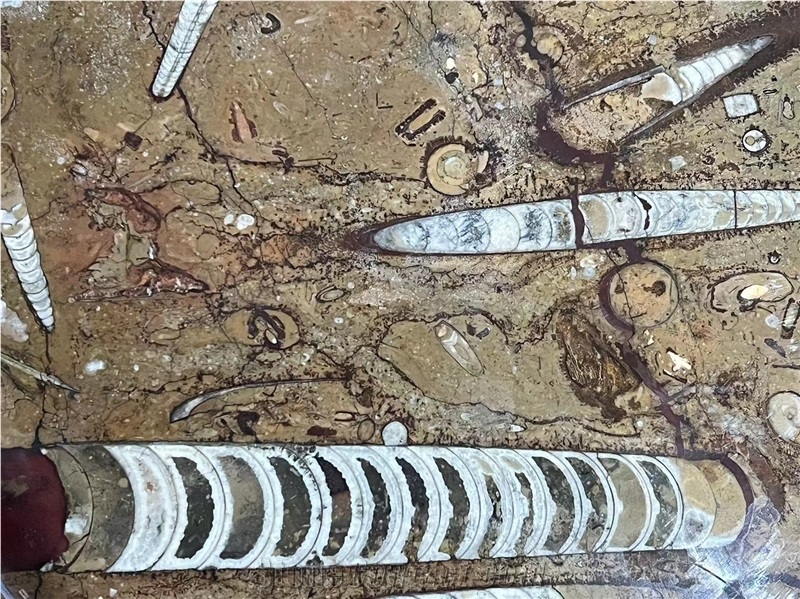 Brown Fossil Marble Serving Plates Tea Trays Utensil