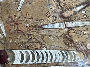 Brown Fossil Marble Serving Plates Tea Trays Utensil