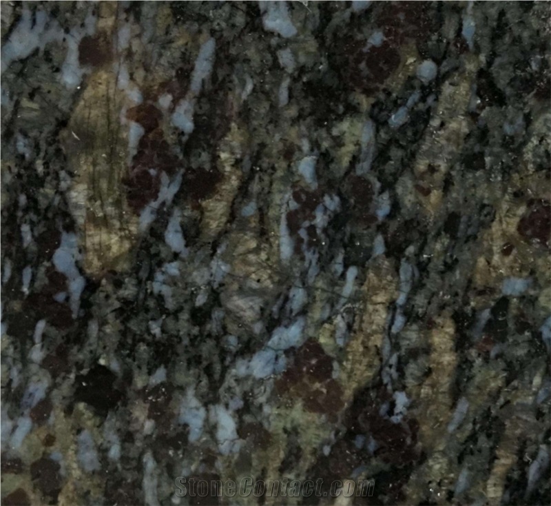 China Butterfly Blue Granite Slabs And Tiles