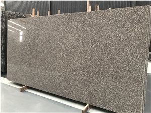 China G664 Irish Brown Granite Slab Tile