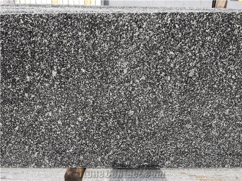 China Narcissus Green Granite Slab Tile