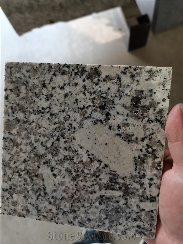 Spain Barcelona Grey Granite Slab Tile