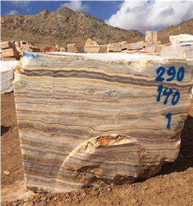 Brown Traonyx