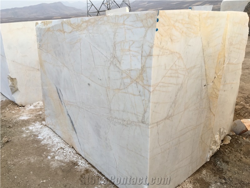 Golden Spider Marble Blocks