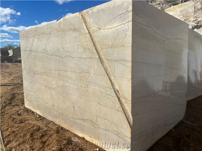 Diamante Bianco Quartzite Blocks
