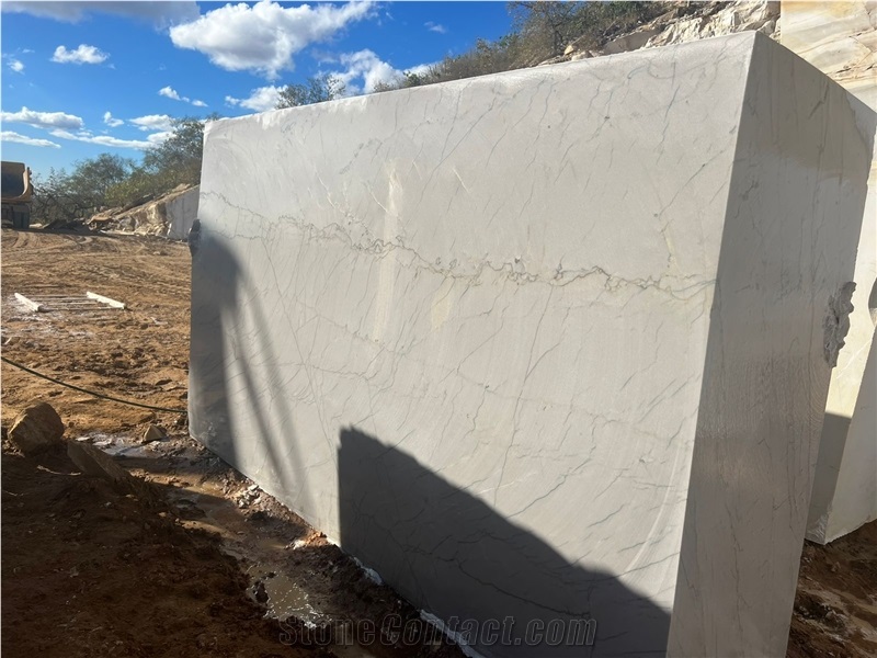 Diamante Bianco Quartzite Blocks