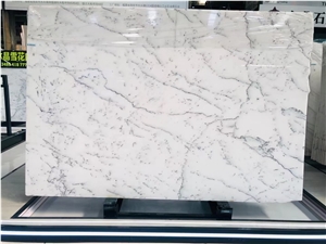 Fine Lines Snow White Marble Slab&Tiles For Floor