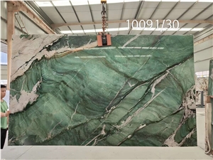 New Arrival Botanic Wave Quartzite Slab For Home Decor