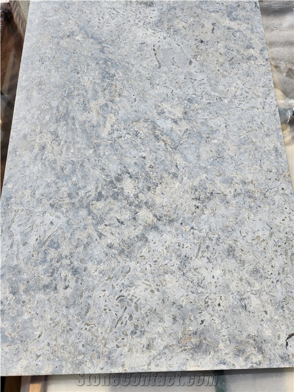 Transylvania Coral Limestone Slabs