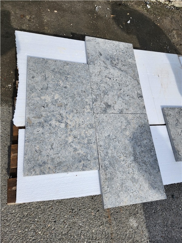 Transylvania Coral Limestone Slabs
