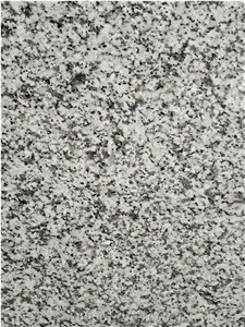Factory Directly Supply Jilin White Granite Slabs Polished