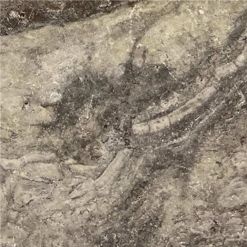 Aurelius Silver Travertine importance=