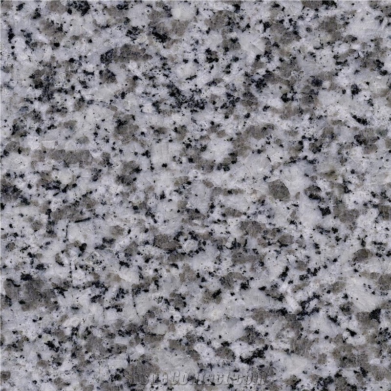 Gris Parga Granite importance=