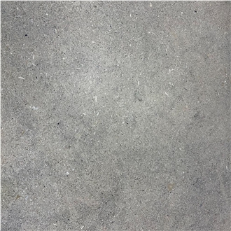 Lydia Ash Andesite