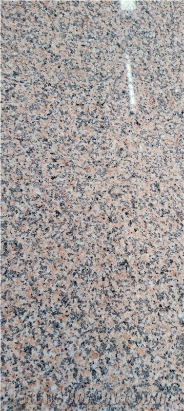 China Sesame Red  G681 Granite Slabs Polished