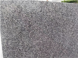 Goldtop OEM/ODM G603 Granite Stone Slabs