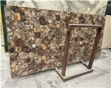 Natural Brown Fossil Petrified Semiprecious Stone Slab For Hotel Wall Decor