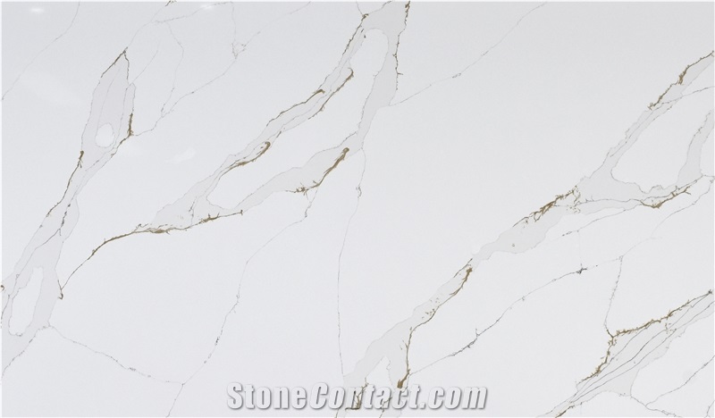 Special Calacatta Series Slab China Factory Supplier AQ6120