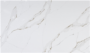 Special Calacatta Series Slab China Factory Supplier AQ6120