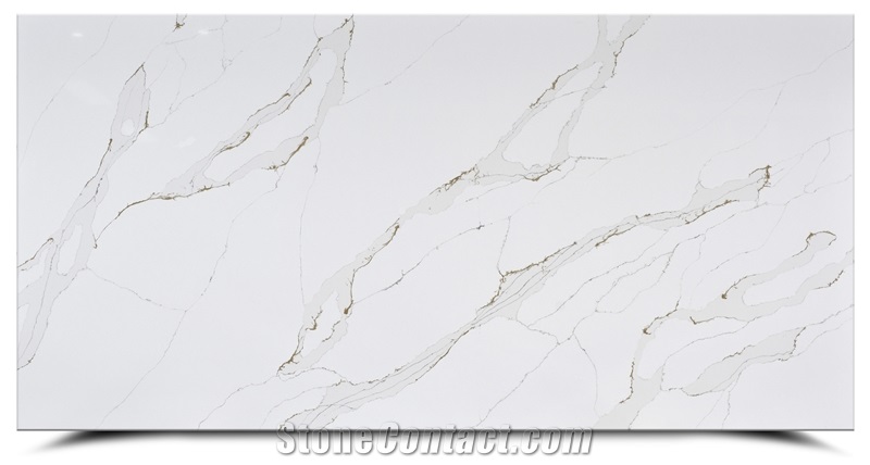 Special Calacatta Series Slab China Factory Supplier AQ6120
