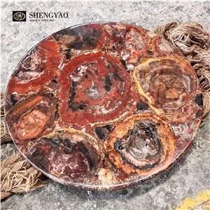 Natural Brown Petrified Wood Gemstone Table Top