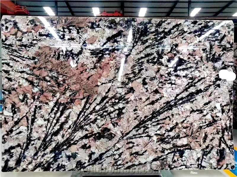 ZJ059 Stones Granite Tiles Slabs