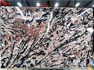 ZJ059 Stones Granite Tiles Slabs ZJ059 Stones Granite Tiles Slabs