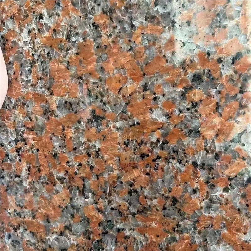 China G562 Maple Red Granite  Slabs