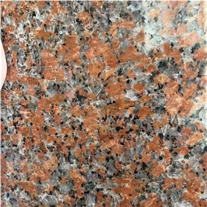 China G562 Maple Red Granite  Slabs