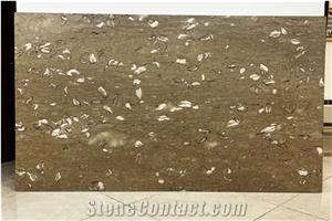 Cedar Fossil Maisa Marble Tiles & Slabs & Blocks
