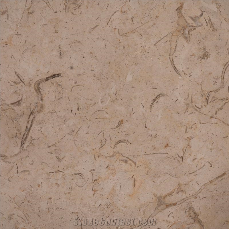 Katrina Marble