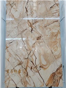 Brazil Spiderman Quartzite Gold Slabs Wall Tiles