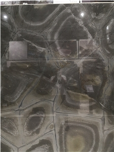 Brazil Verde Tortuga Quartzite Green Slab Kitchen Tile