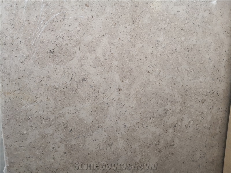Egypt Sinai Pearl Beige Limetsone Slab Tile