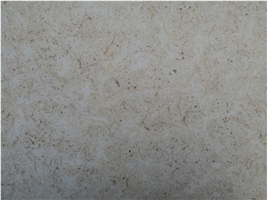Isreal Jerusalem Fossil Gold Limestone Slab Tile