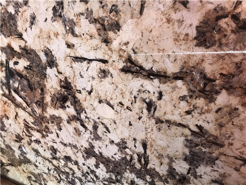 Splendour Cream Gold Granite Slab Kicthen Tile