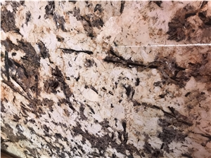 Splendour Cream Gold Granite Slab Kicthen Tile