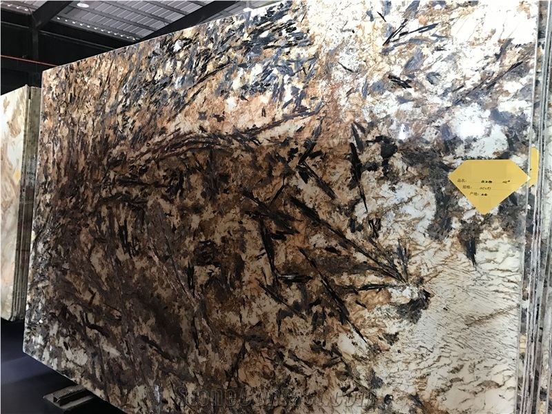 Splendour Cream Gold Granite Slab Kicthen Tile