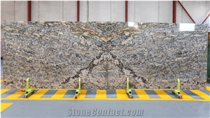 Neo Bahia Quartzite Slabs