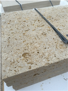 Texas Shell Stone Tiles