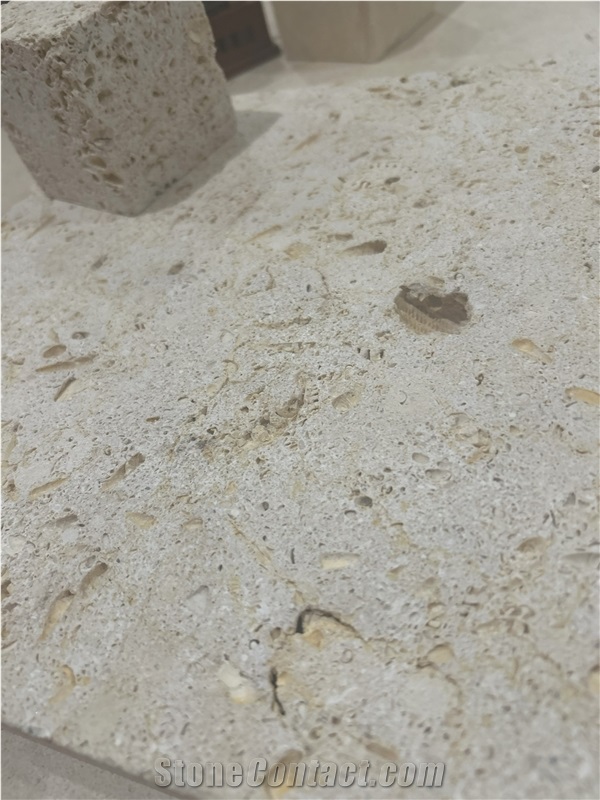 Texas Shell Stone Tiles