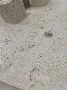 Texas Shell Stone Tiles
