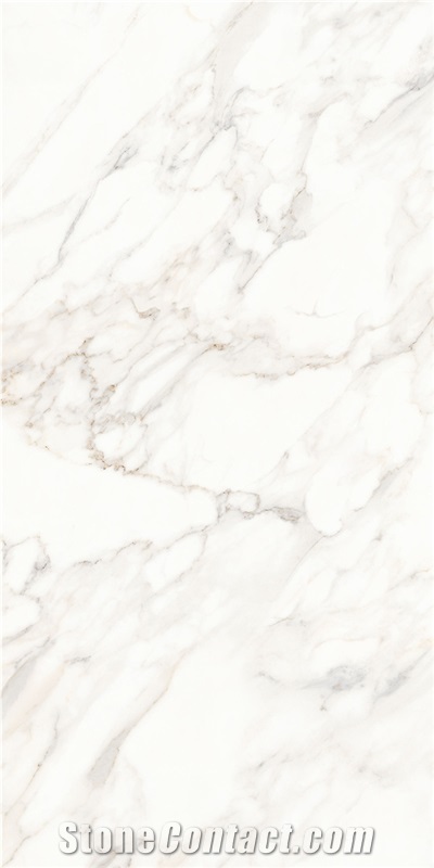 Calacatta Porcelain Slabs