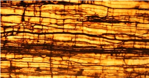 Zeus Vein Cut Onyx 1705