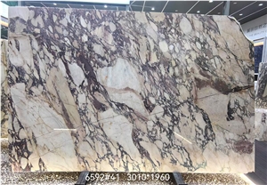 Breccia Capraia Marble Slab&Tiles For Project Breccia Capraia Marble Slab&Tiles For Project