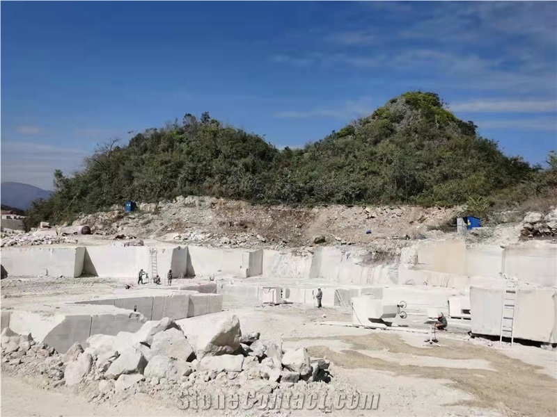 Chenille White Marble Cut-To-Size Wall Tiles