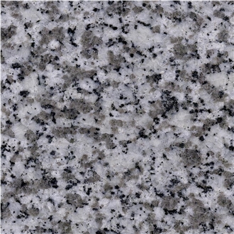 Blanco Alba Granite